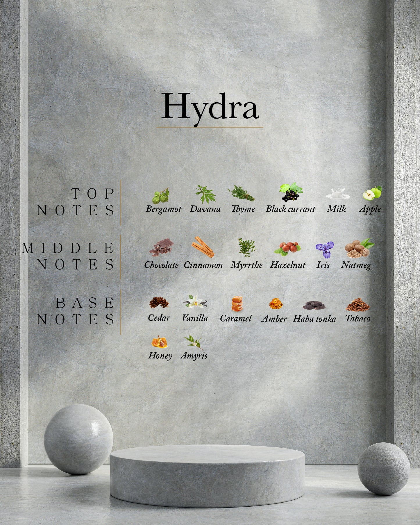 Hydra